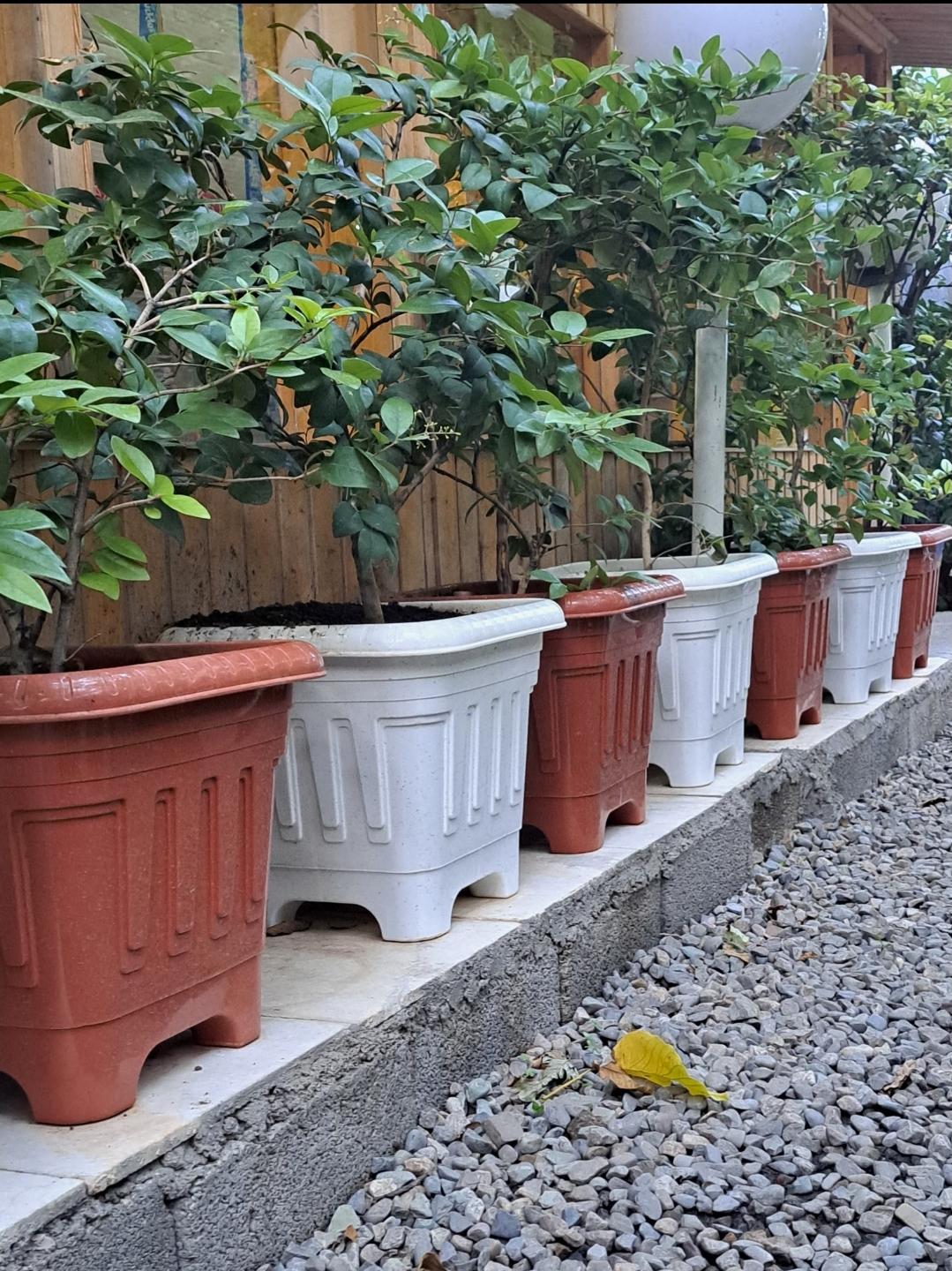 عکس فروشگاه گلپونه