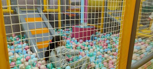 عکس خانه کودک نیکو پارک