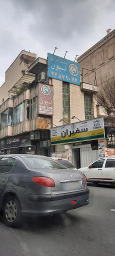کلینیک دامپزشکی لیون