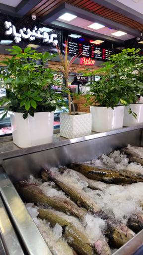 عکس هایپر پروتئین پاژ