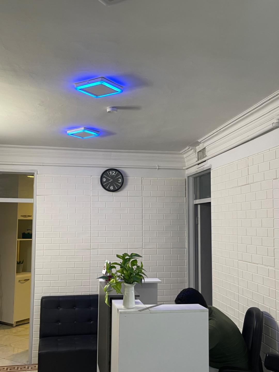 عکس آزمایشگاه چکاوک