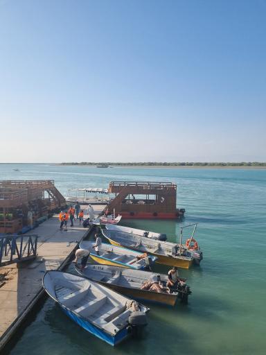 عکس جنگل حرا