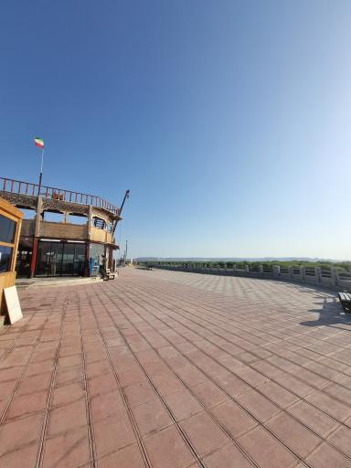 عکس جنگل حرا