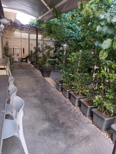 عکس کافه اورس 