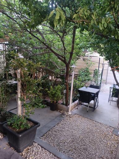 عکس کافه اورس 