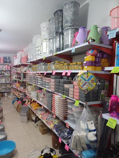 عکس پلاسکو بخشی 