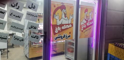 عکس مرغ فروشی محله باغ