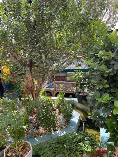 عکس دیزی سرای سعیدی گاراژدارها 