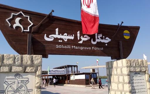 عکس جنگل حرا