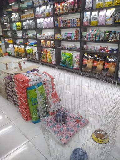 عکس پت شاپ دوستارحیوانات