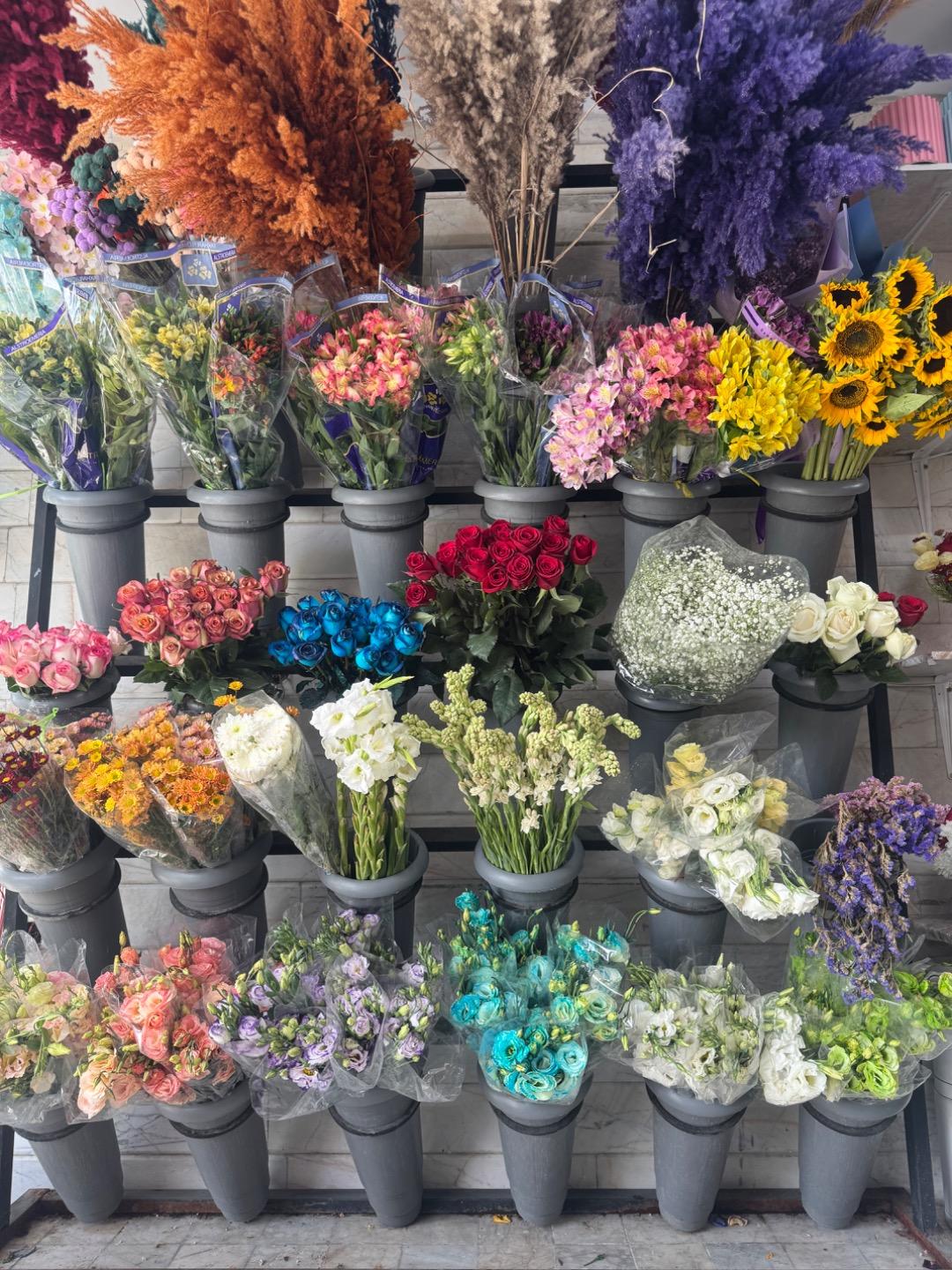 عکس گل فروشی بن سای