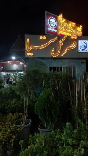 عکس قصر گل ستیا