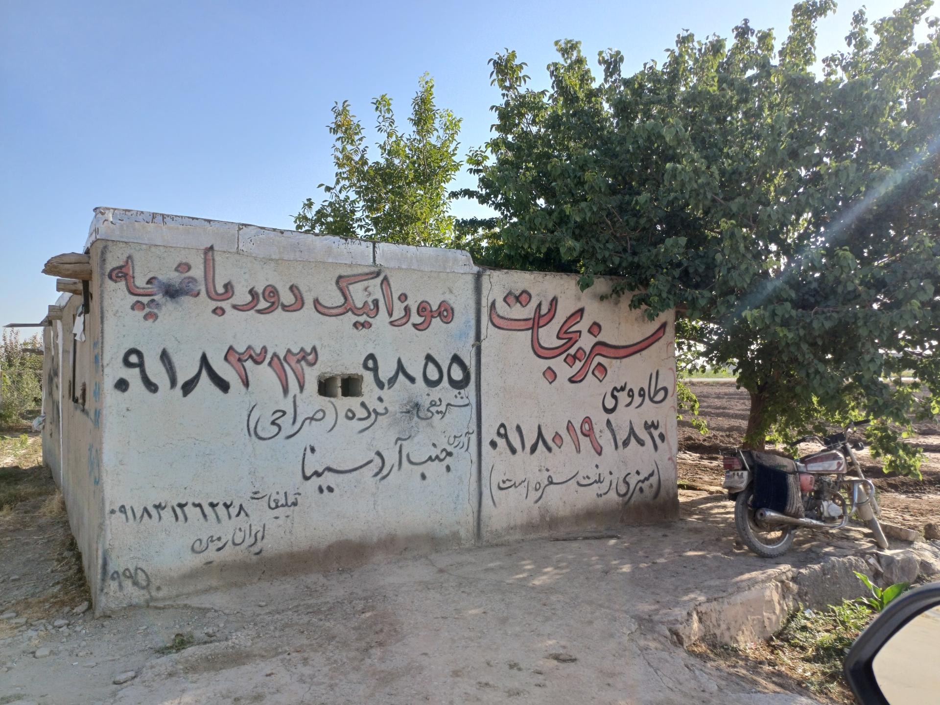 عکس سبزی فروشی برادران طاووسی