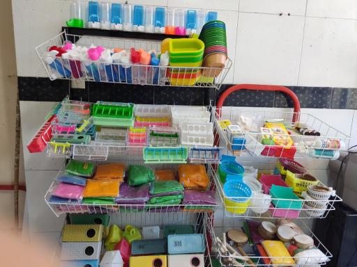 عکس دان فروشی پرندگان شامپیون