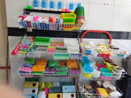 عکس دان فروشی پرندگان شامپیون