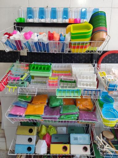 عکس دان فروشی پرندگان شامپیون