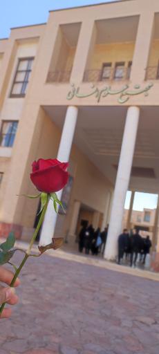 عکس دانشگاه حکیم سبزواری