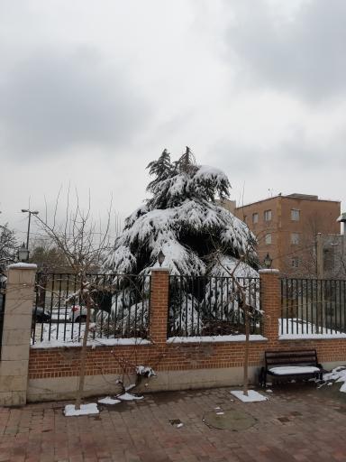 عکس پارک بوعلی