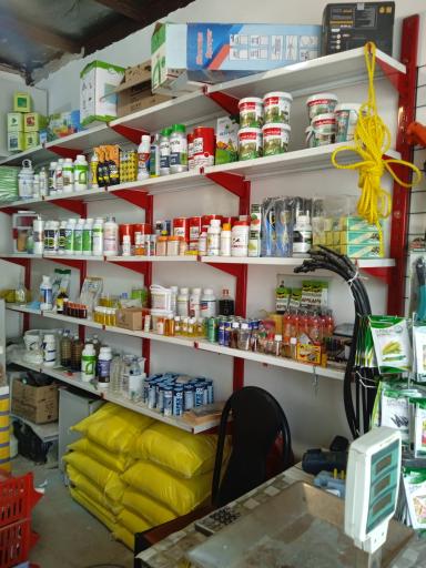 عکس خدمات کشاورزی بوته سبز