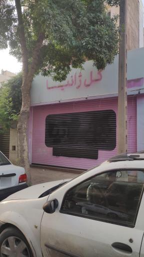 عکس گل ژانیا