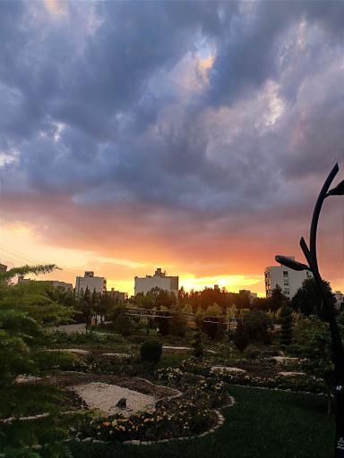 عکس باغ گلها