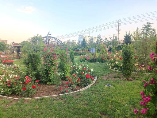 عکس باغ گلها