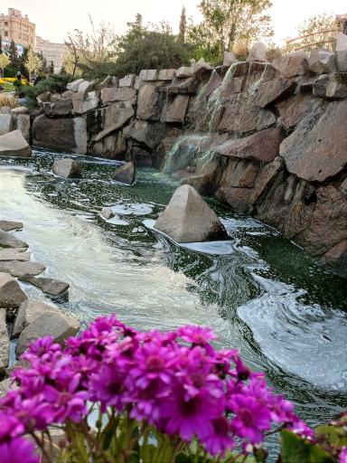 عکس باغ گلها