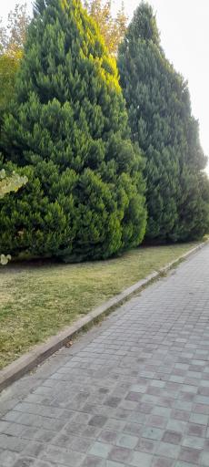 عکس دانشکده علوم ورزشی و تربیت بدنی