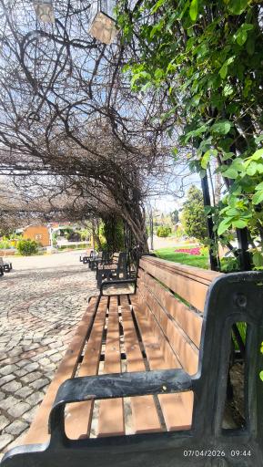 عکس باغ گلها