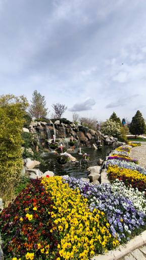 عکس باغ گلها