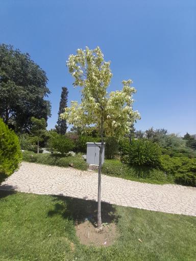 عکس باغ گلها