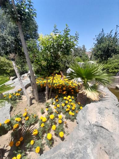 عکس باغ گلها