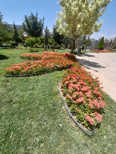 عکس باغ گلها