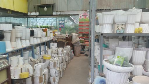 عکس قصر گل ستیا