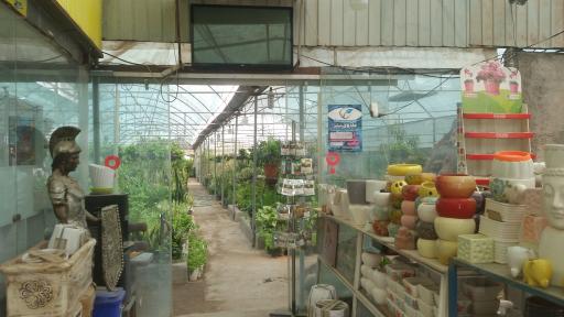 عکس قصر گل ستیا