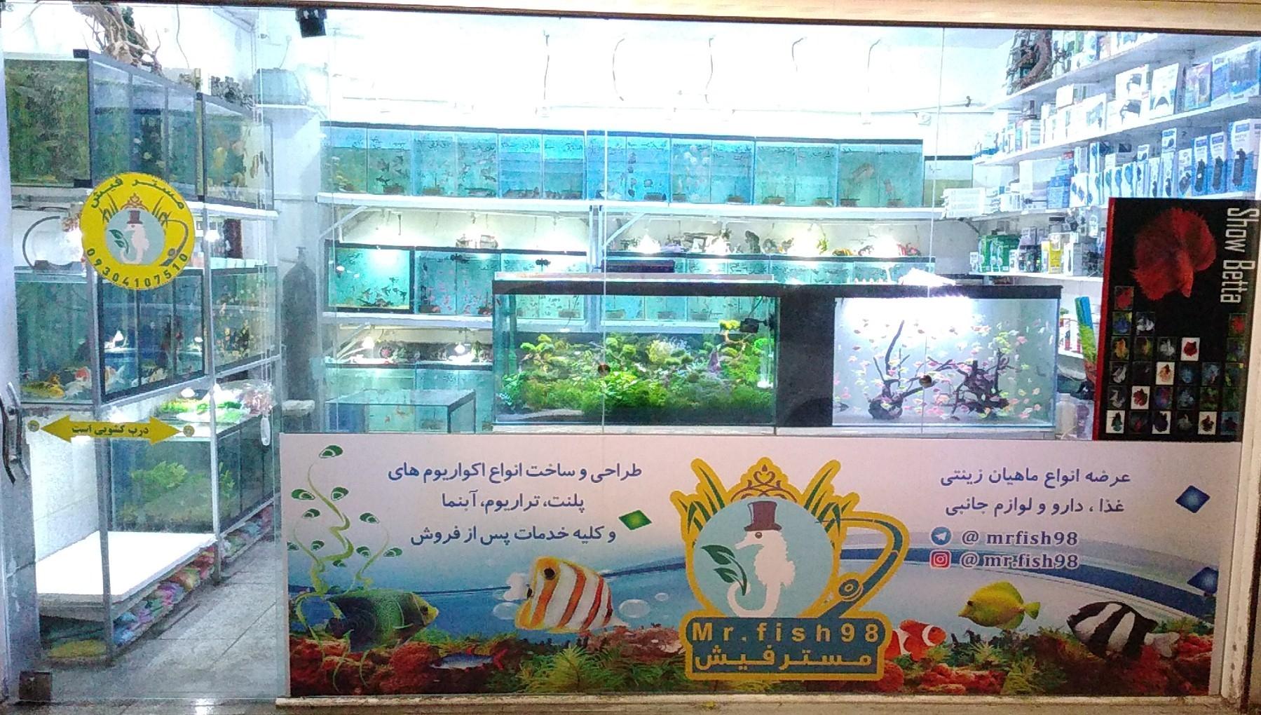 عکس آکواریوم آقای ماهی