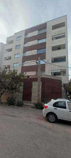 عکس مجتمع گل نرگس 