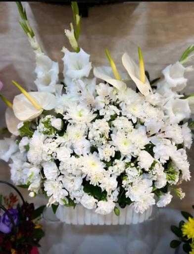 عکس گل فروشی ارکیده