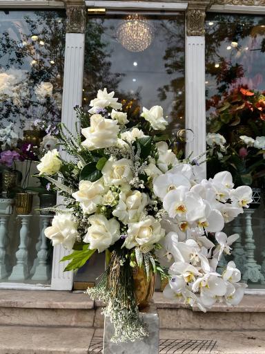 عکس گل شبنم