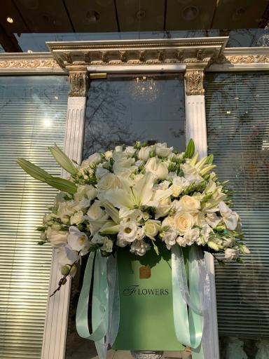 عکس گل شبنم