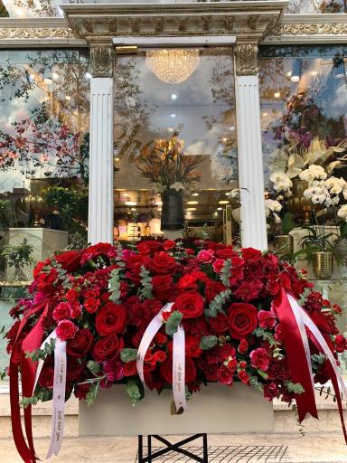 عکس گل شبنم