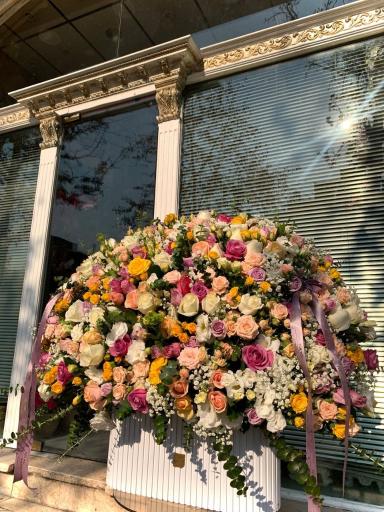 عکس گل شبنم