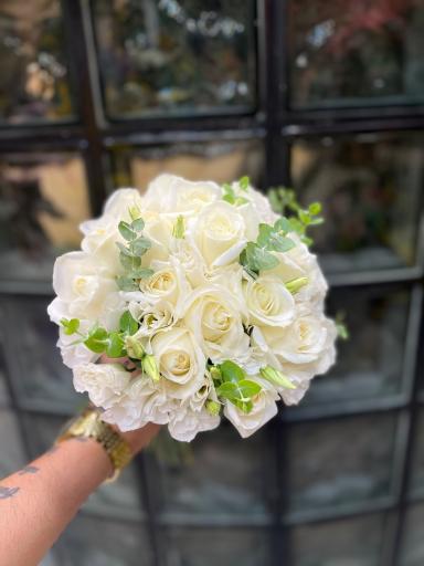 عکس گل شبنم