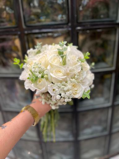 عکس گل شبنم