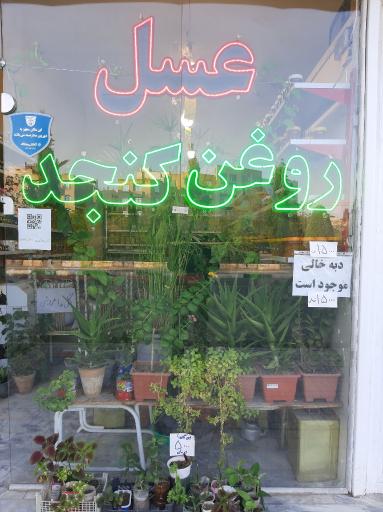 عکس عسل مصفای سید