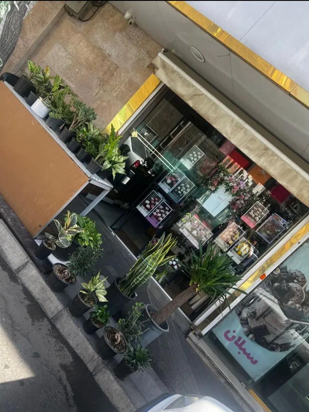 عکس گل فروشی سام گل