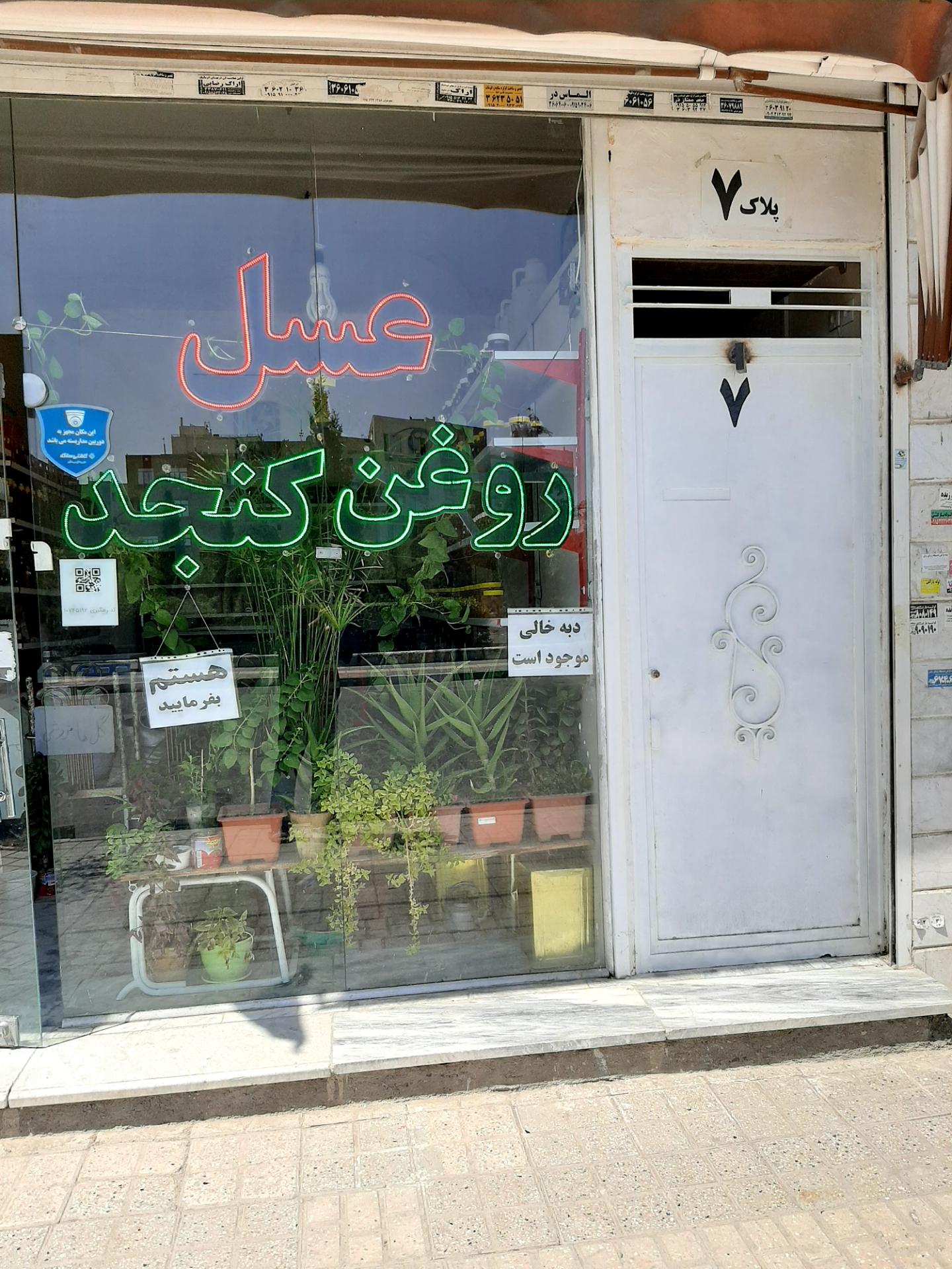 عکس عسل مصفای سید