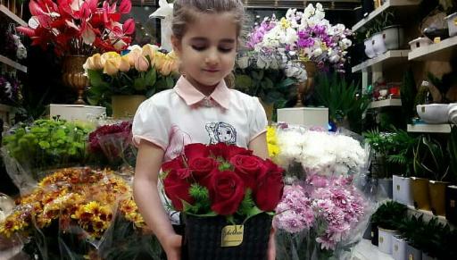 عکس گل شبنم