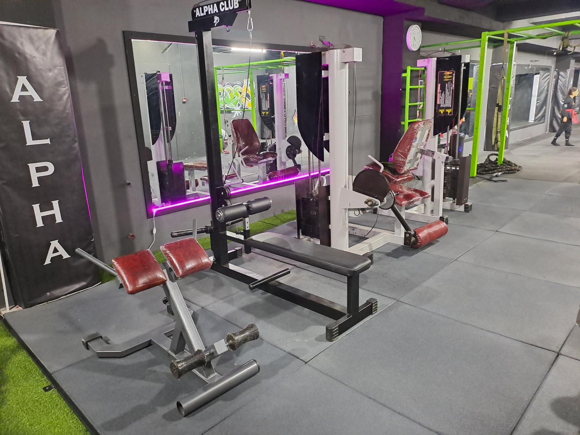 عکس باشگاه آلفا 