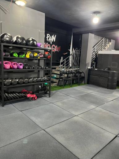 عکس باشگاه آلفا 